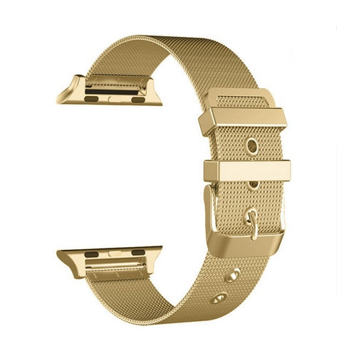 Stainless Steel Mesh Apple Watch Band