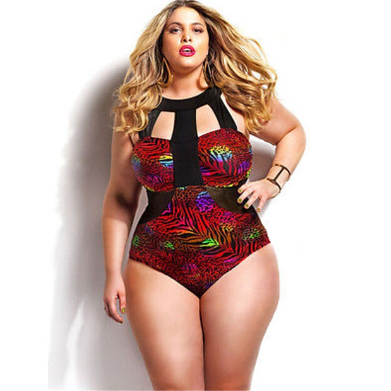 One Piece Plus Size Swimsuit/Tankinis